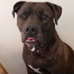 Meet your Posher, Rich